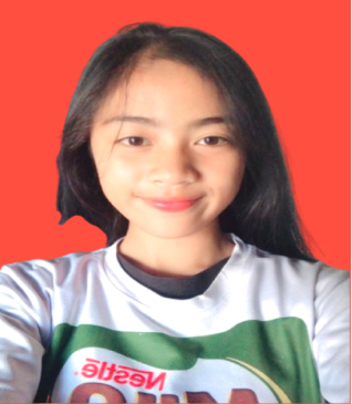 INDONESIA RAYA